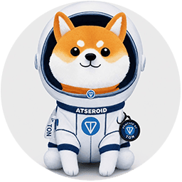 Asteroid Shiba